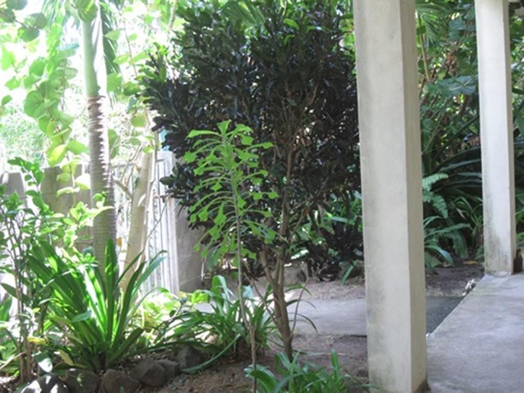 Culture House Hotel Basseterre Ngoại thất bức ảnh