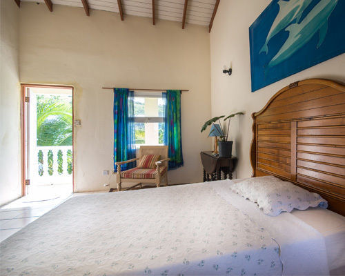 Culture House Hotel Basseterre Ngoại thất bức ảnh